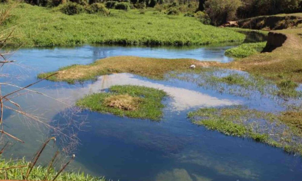 justica-barra-manobra-da-jbs-e-libera-nova-pericia-sobre-corrego-turistico-poluido-em-ms