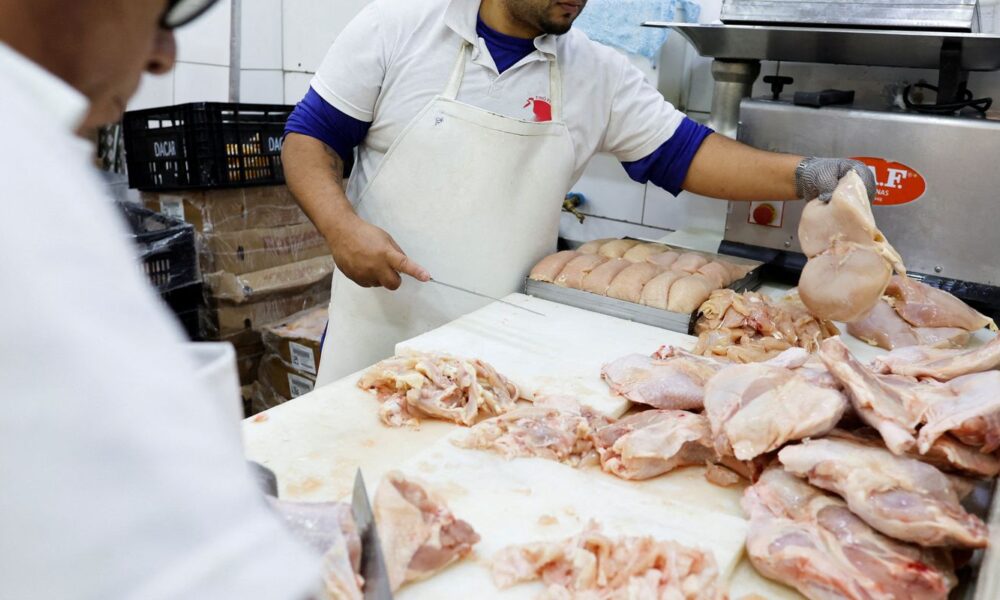 brasil-se-declara-pais-livre-da-gripe-aviaria