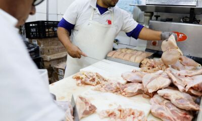 brasil-se-declara-pais-livre-da-gripe-aviaria