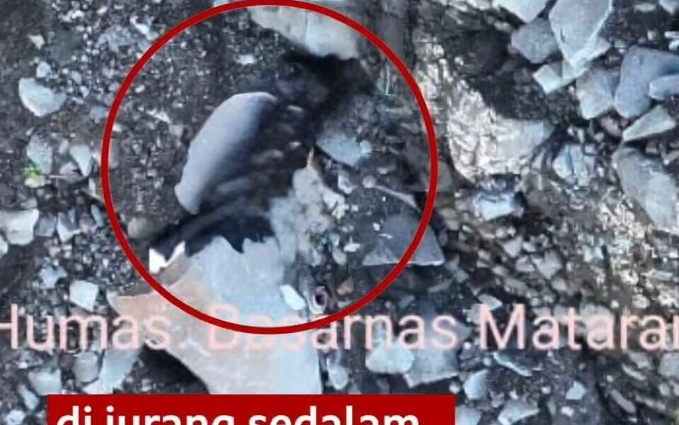 video-da-indonesia-mostra-onde-brasileira-foi-achada-ao-cair-em-vulcao