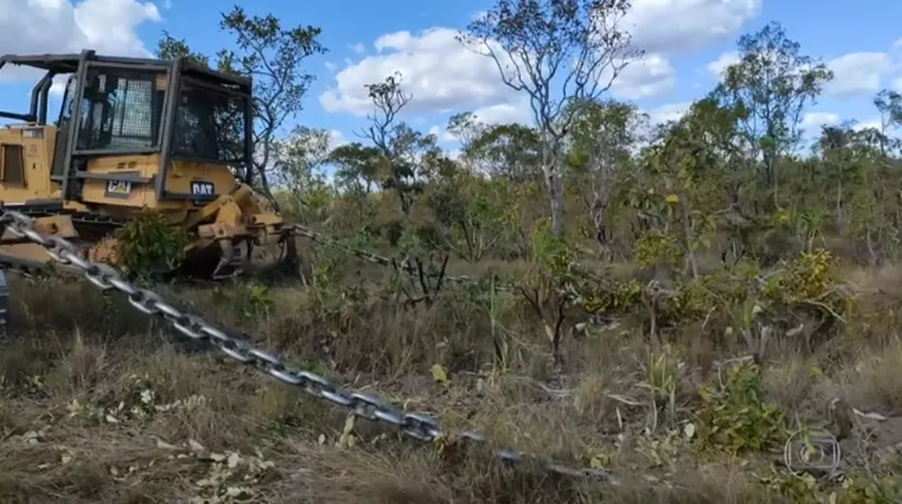 mpms-livra-ex-vice-prefeito-por-desmatar-area-de-preservacao-para-plantar-soja-em-ms
