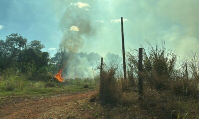 video:-fogo-em-vegetacao-se-espalha-e-se-aproxima-de-casas-em-campo-grande