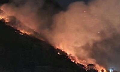 lula-lamenta-morte-de-servidores-do-ibge-em-combate-a-incendio