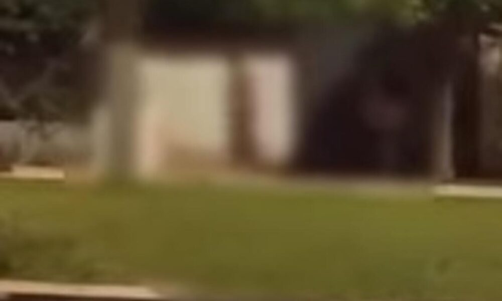 video:-homem-e-flagrado-andando-pelado-na-rua