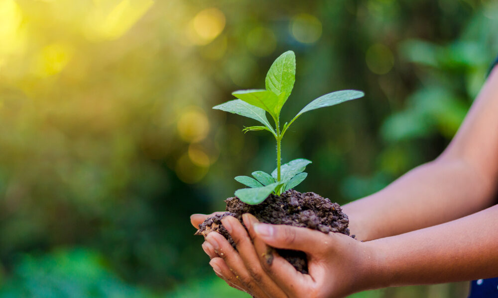 conexao-humana-com-natureza-caiu-60%-em-200-anos,-diz-estudo