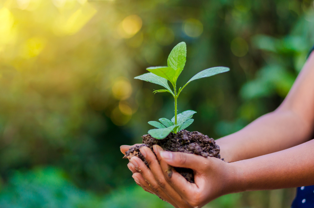 conexao-humana-com-natureza-caiu-60%-em-200-anos,-diz-estudo