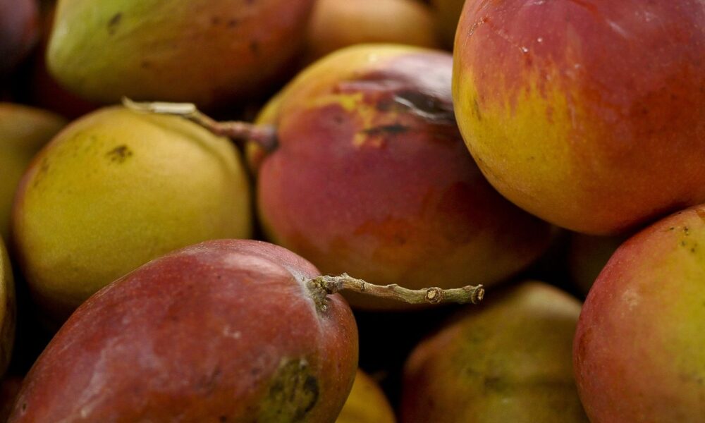 abrafrutas-apoia-plano-e-pede-atencao-a-pequenos-produtores