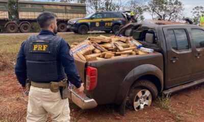 prf-apreende-703-kg-de-maconha-na-br-163