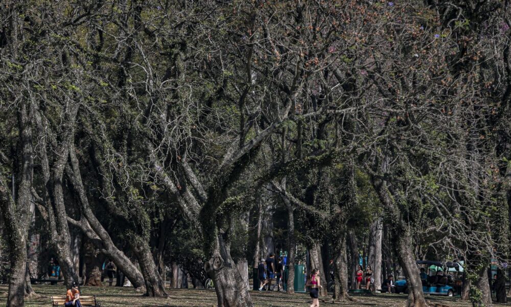 cidade-de-sao-paulo-tem-agosto-mais-seco-desde-2020