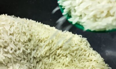 conab-anuncia-r$-300-milhoes-para-produtores-de-arroz-na-safra-2025/26