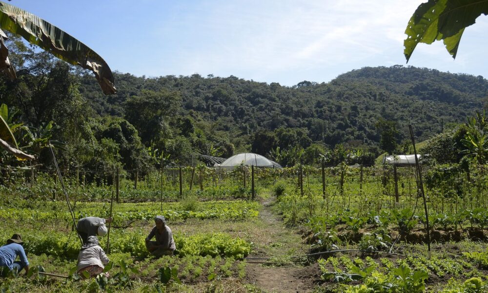 lula-autoriza-uso-de-r$-12-bilhoes-para-renegociacao-de-dividas-rurais