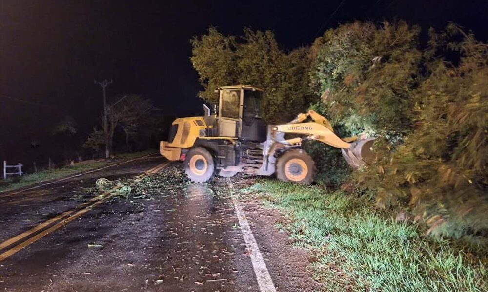 temporal-com-fortes-ventos-derruba-arvores-em-bonito