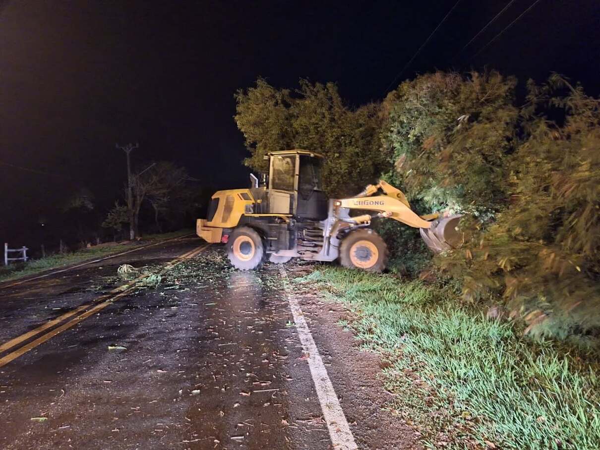 temporal-com-fortes-ventos-derruba-arvores-em-bonito