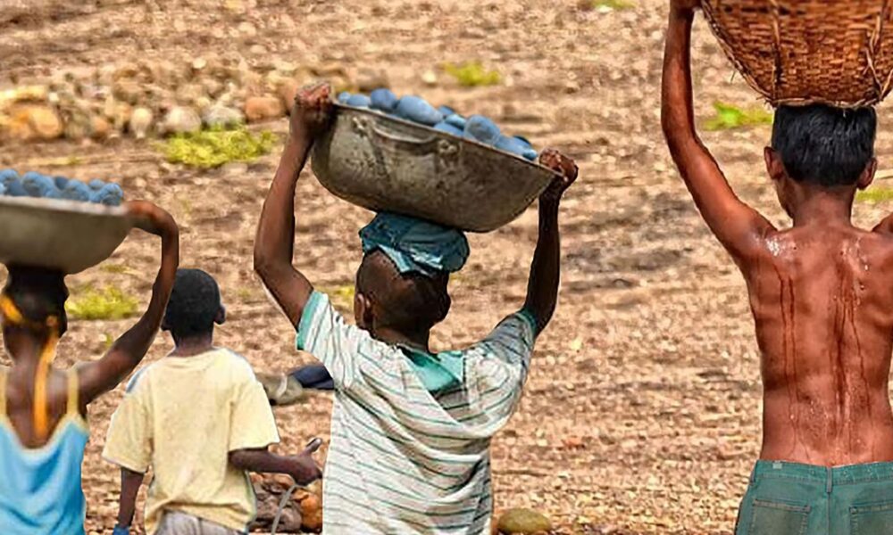brasil-tem-reducao-recorde-na-lista-piores-formas-de-trabalho-infantil