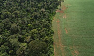 brasil-apresenta-solucoes-de-financiamento-climatico-em-nova-york