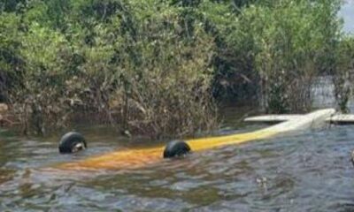 fab-intercepta-aeronave-suspeita-procedente-do-peru