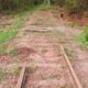 concessionaria-e-multada-em-r$-2,1-milhoes-por-remover-trilhos-de-ferrovia-em-ms-que-deveria-manter