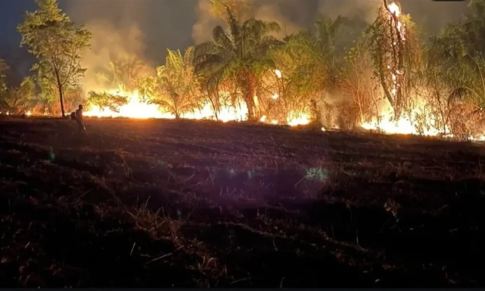 incendio-volta-a-se-intensificar-no-parque-estadual-das-nascentes-do-rio-taquari