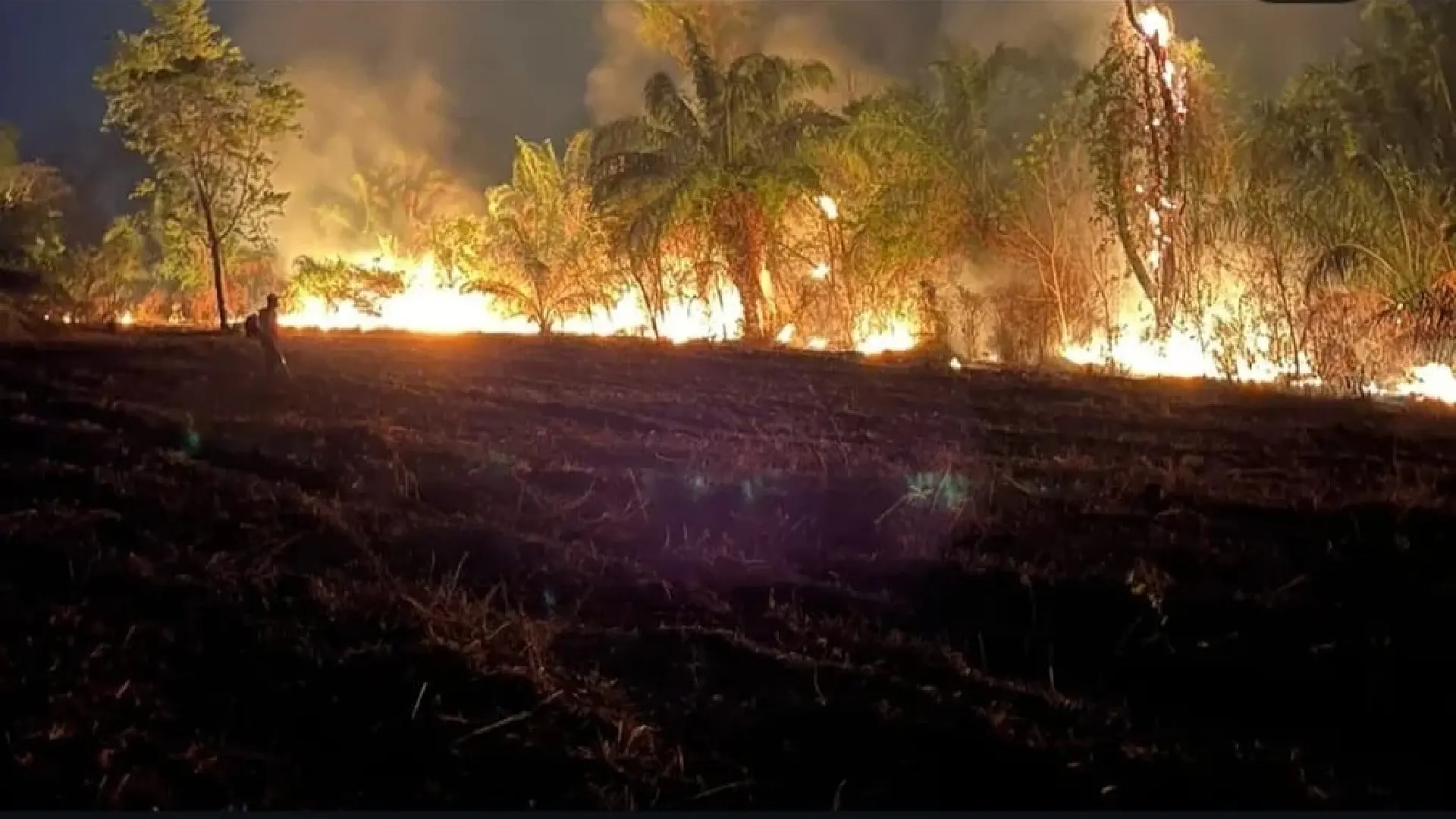 incendio-volta-a-se-intensificar-no-parque-estadual-das-nascentes-do-rio-taquari