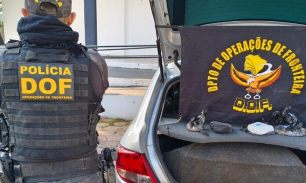 motorista-e-preso-na-br-262-com-cocaina-que-levaria-ao-rs