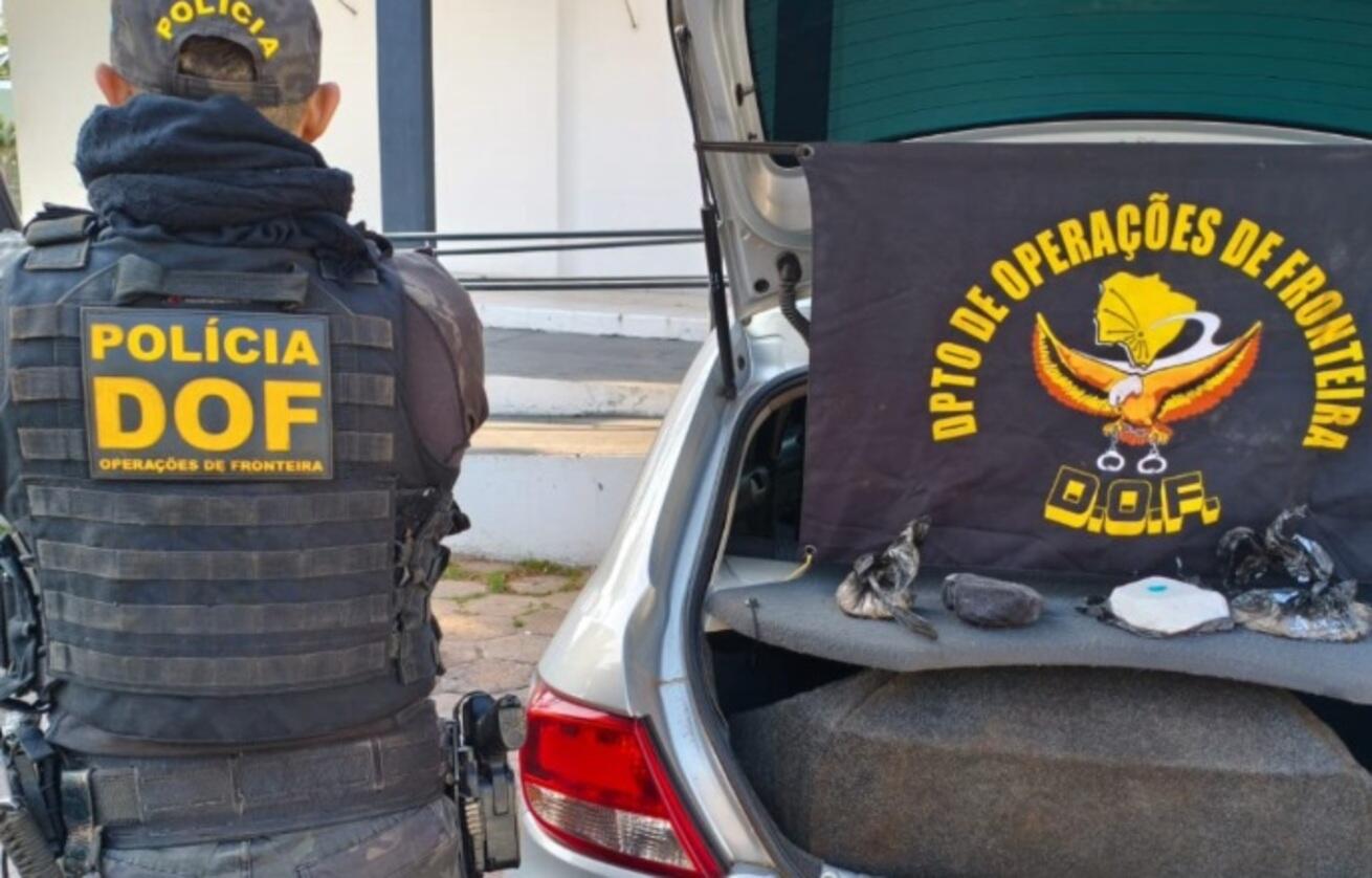 motorista-e-preso-na-br-262-com-cocaina-que-levaria-ao-rs