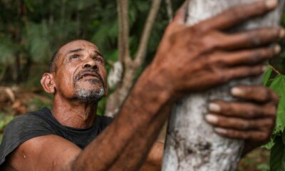 projeto-transforma-areas-de-queimada-em-producao-sustentavel-no-marajo