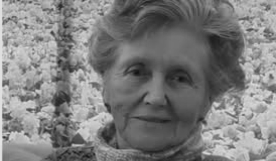 defesa-nega-que-idosa-tenha-morrido-apos-ser-empurrada-da-escada-pelo-genro-–-folha-de-dourados-–-noticias-de-dourados-ms-e-regiao