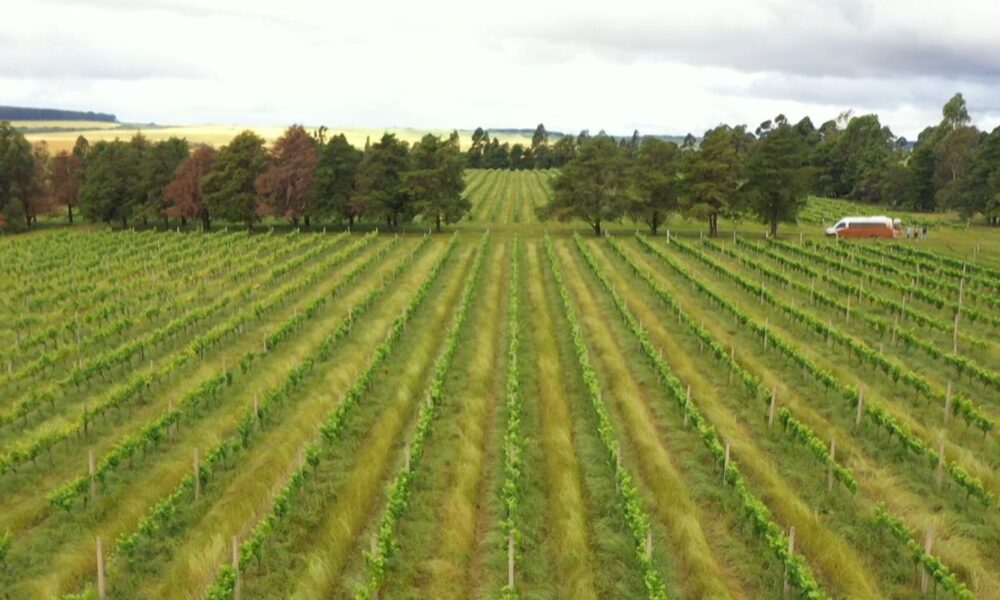 cmn-restringe-linha-especial-de-r$-12-bilhoes-a-produtores-do-rs