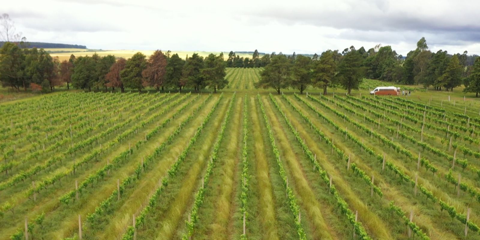 cmn-restringe-linha-especial-de-r$-12-bilhoes-a-produtores-do-rs