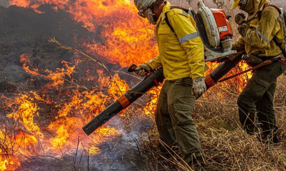 pre-cop:-brasil-propoe-resposta-global-a-incendios-florestais