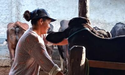 mulheres-rurais-enfrentam-informalidade-e-desigualdade-no-campo