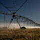 stf-retoma-julgamento-sobre-beneficios-fiscais-para-agrotoxicos