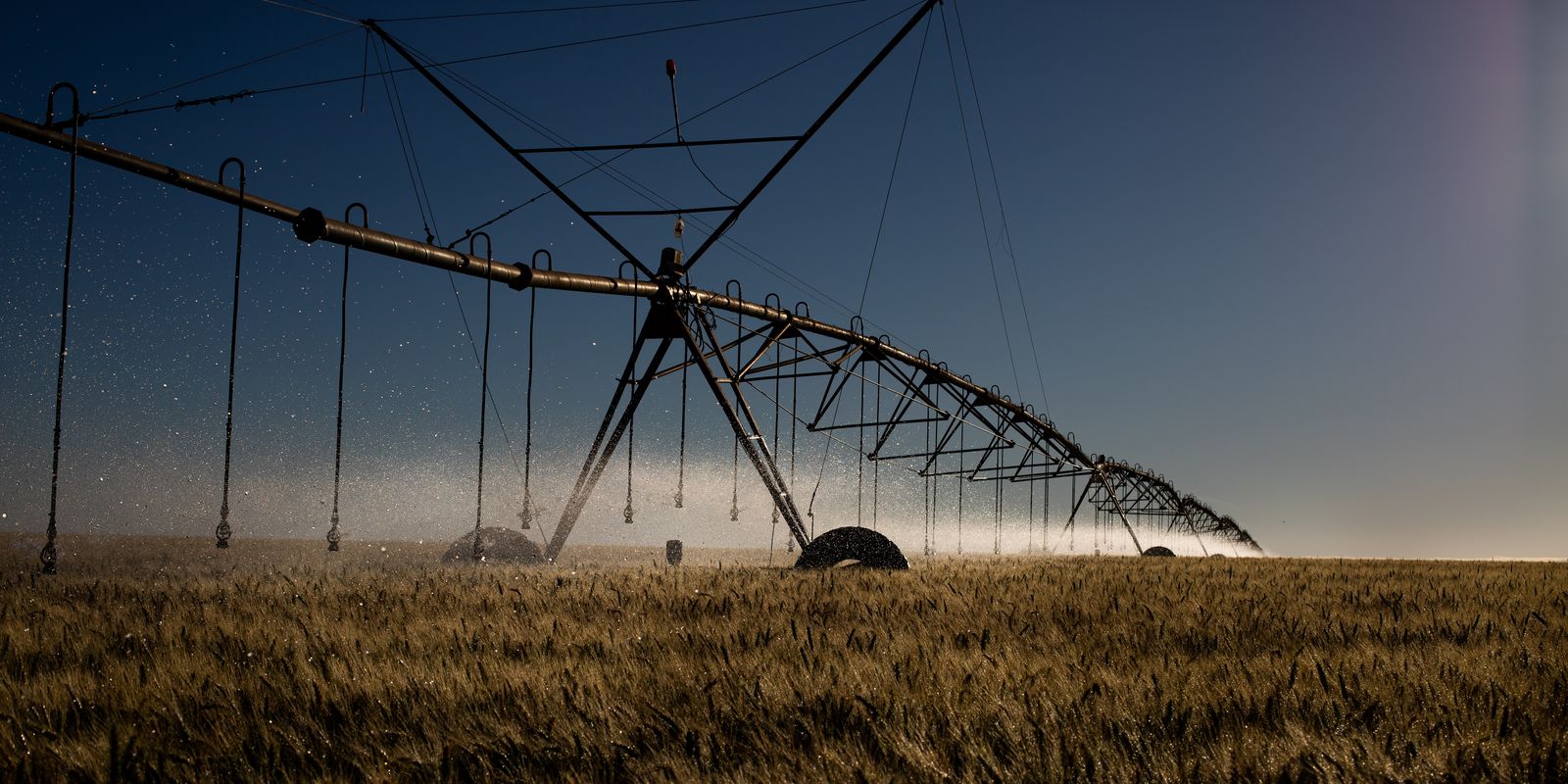 stf-retoma-julgamento-sobre-beneficios-fiscais-para-agrotoxicos