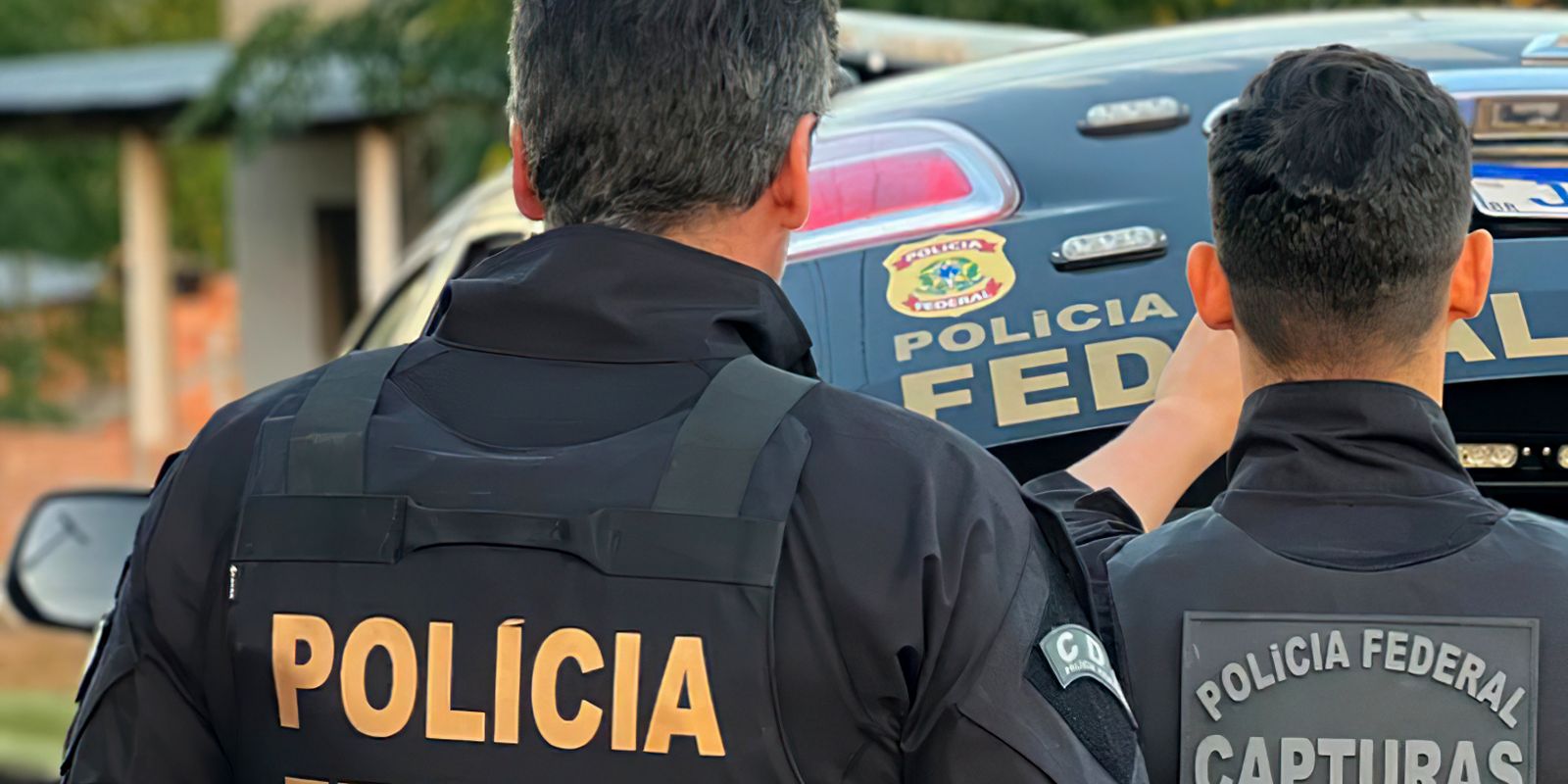 operacao-da-pf-em-guarulhos-impede-trafico-de-animais-silvestres