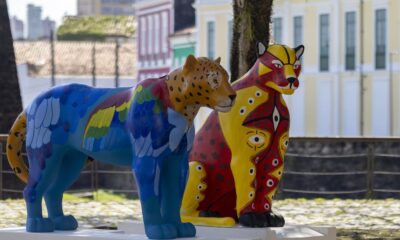 belem-vira-galeria-a-ceu-aberto-com-estatuas-de-oncas-coloridas
