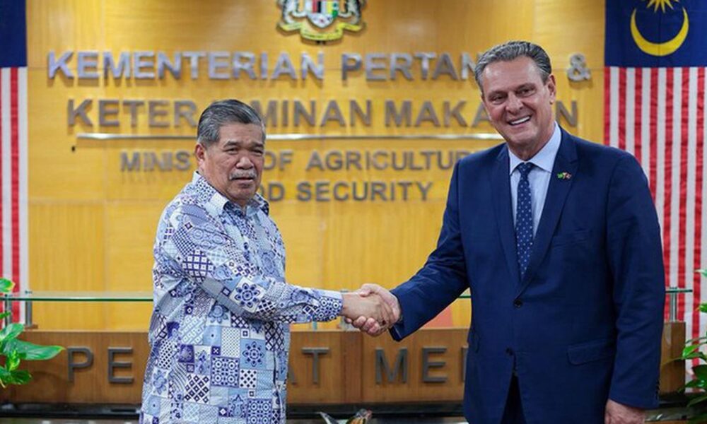 brasil-retoma-exportacoes-de-carne-de-frango-para-a-malasia