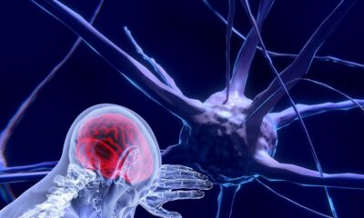 unesco-faz recomendacao-inedita-para-uso-etico-da-neurotecnologia