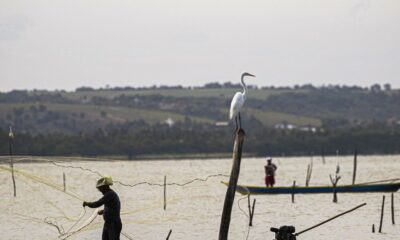 gestao-do-seguro-defeso-passa-oficialmente-ao-ministerio-do-trabalho