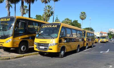 nova-legislacao-garante-repasses-para-alimentacao-e-transporte-escolar