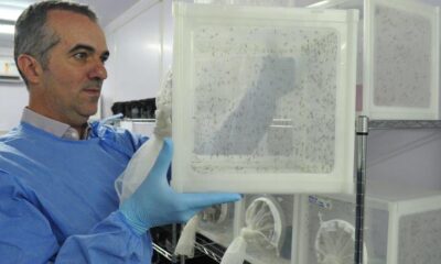 brasileiro-criador-do-“aedes”-que-bloqueia-dengue-e-eleito-pela-nature