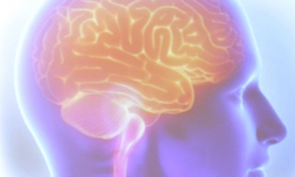 projeto-artemis-avalia-genetica-de-pacientes-que-sofreram-avc