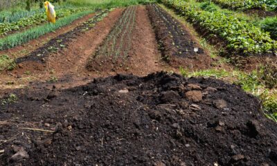 cmn-amplia-socorro-a-produtores-afetados-pelo-clima