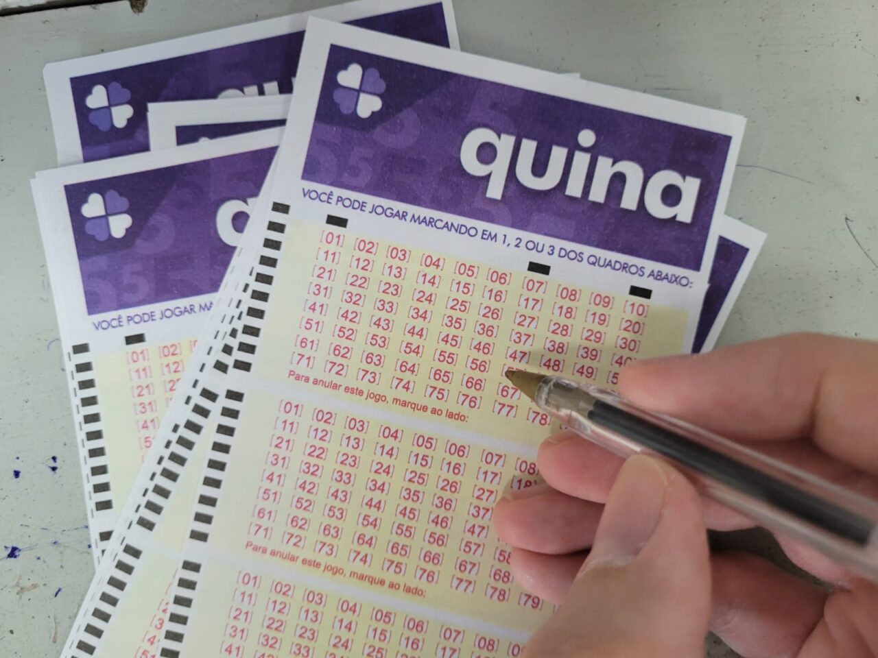 quina-hoje,-concurso-6918:-confira-o-resultado-sorteado-neste-sabado-(03)