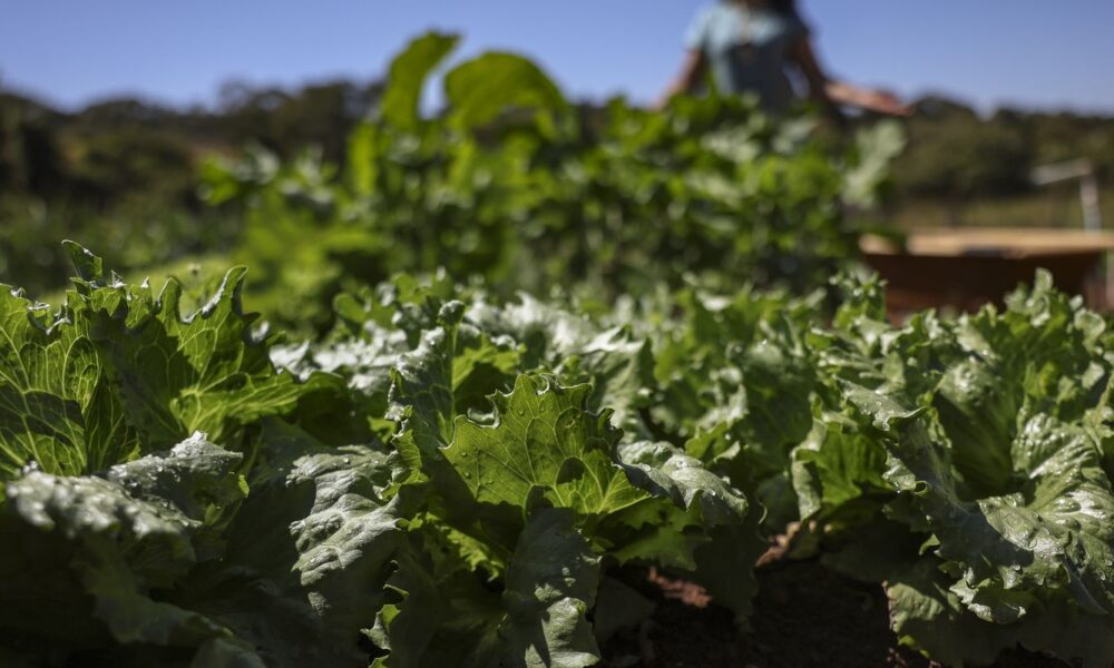 acordo-garante-terras-a-3-mil-familias-em-assentamentos-no-parana