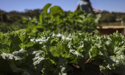 acordo-garante-terras-a-3-mil-familias-em-assentamentos-no-parana