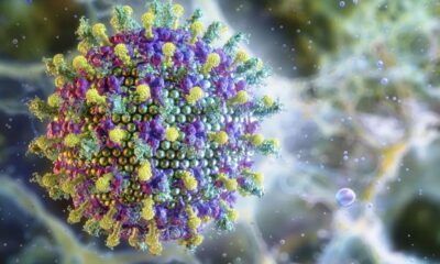 ministerio-da-saude-diz-que-virus-nipah-nao-ameaca-o-brasil