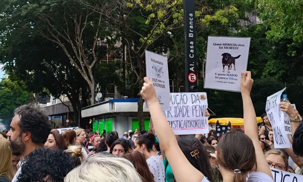 centenas-de-pessoas-em-sao-paulo-pedem-justica-pelo-cao-orelha
