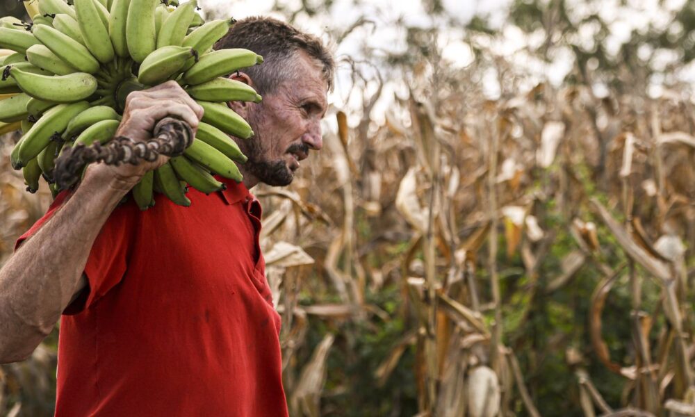 camara-aprova-uso-de-recursos-do-fgo-em-operacoes-do-pronaf