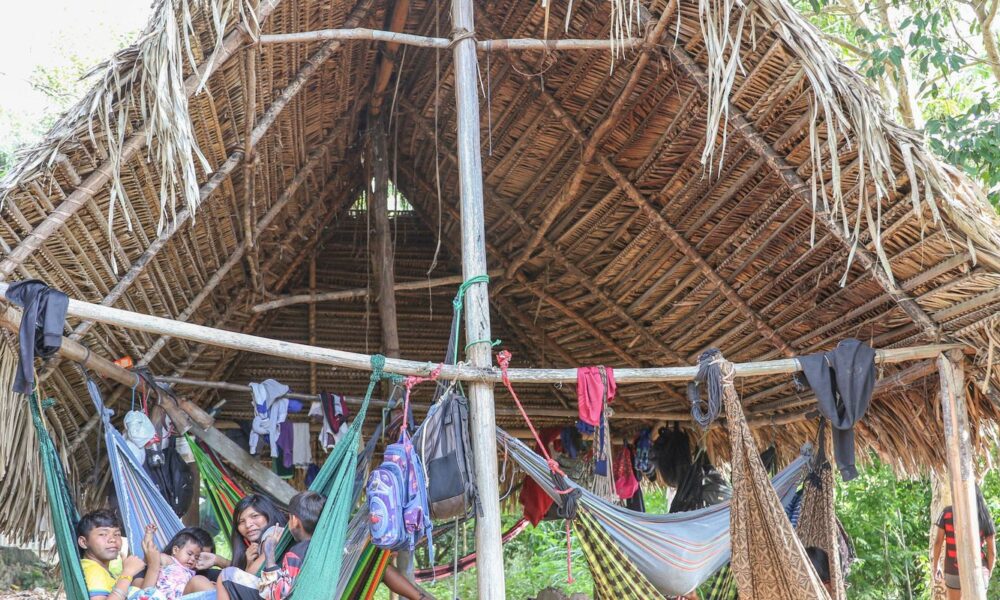 povo parakana,-do-para, reocupa territorio-apos-retirada-de-invasores 