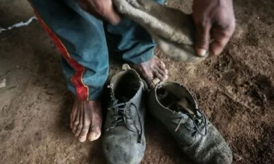 amado-batista-e-byd-sao-incluidos-em-lista-de-trabalho-escravo-do-mte